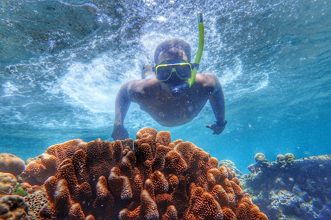 Menjangan Island, photo 1 of 8