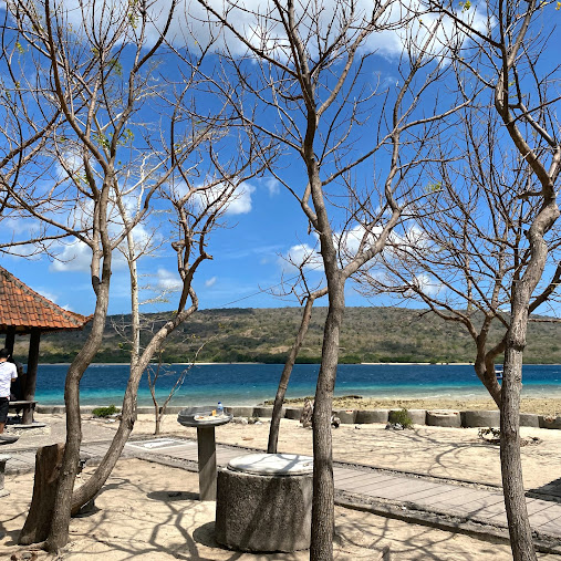 Menjangan Island, photo 4 of 8