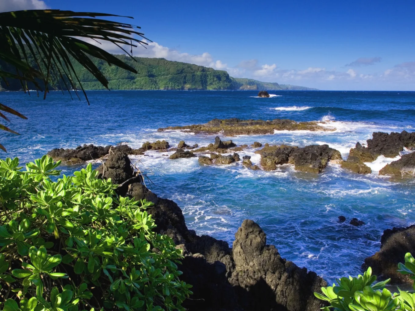 West Bali National Park, photo 1 of 8