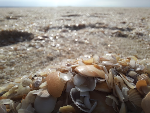 Marari Beach Alappuzha, photo 4 of 7