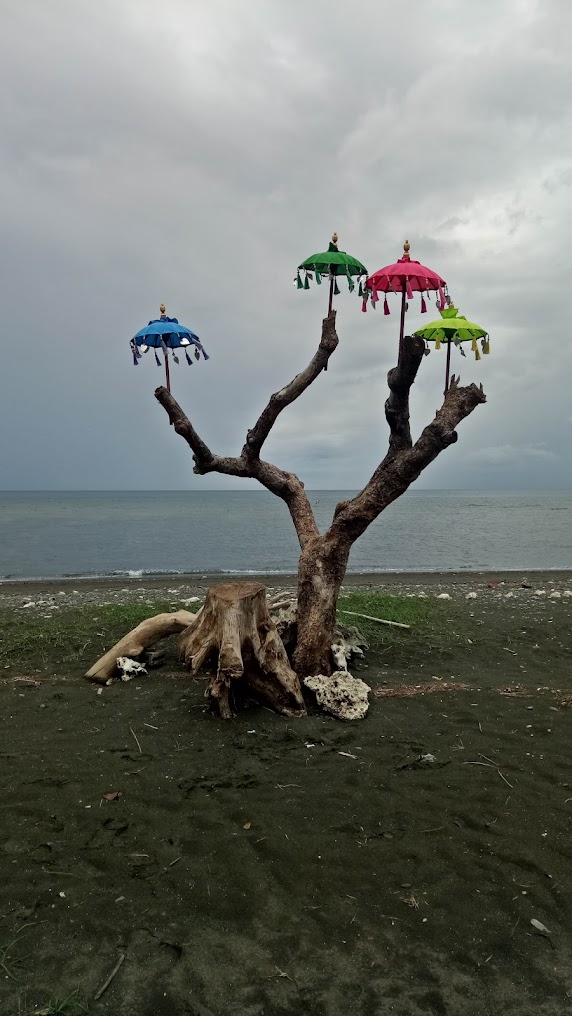 Pemuteran Beach, photo 4 of 6