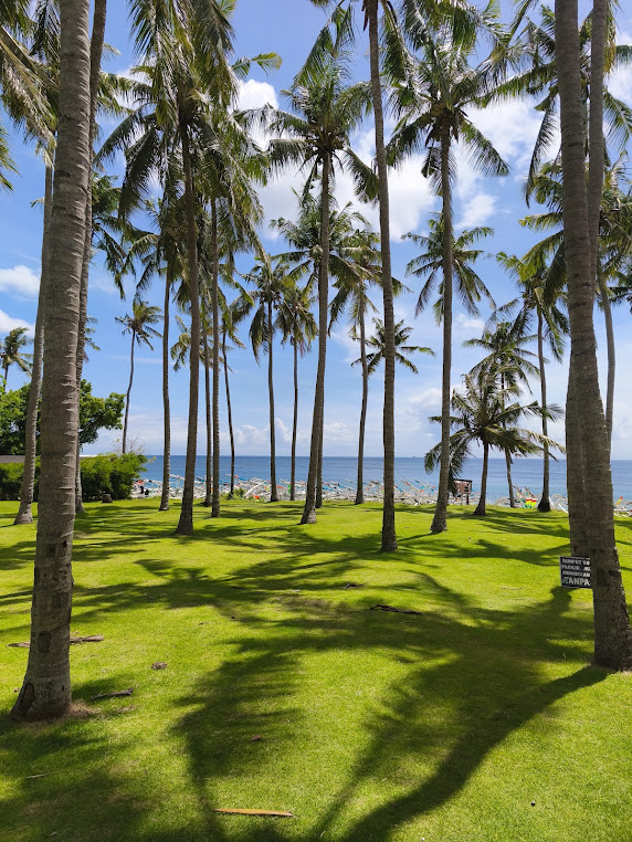 Parkir Virgin Beach, photo 3 of 10