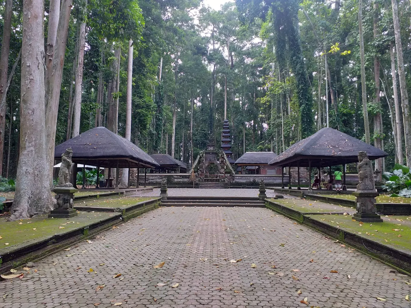 Sangeh Monkey Forest, photo 1 of 7