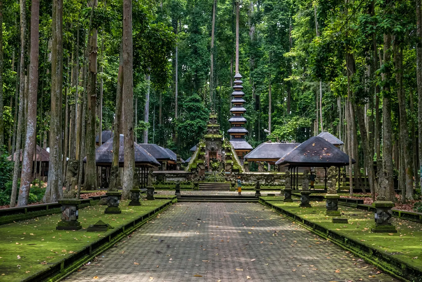 Sangeh Monkey Forest, photo 4 of 7