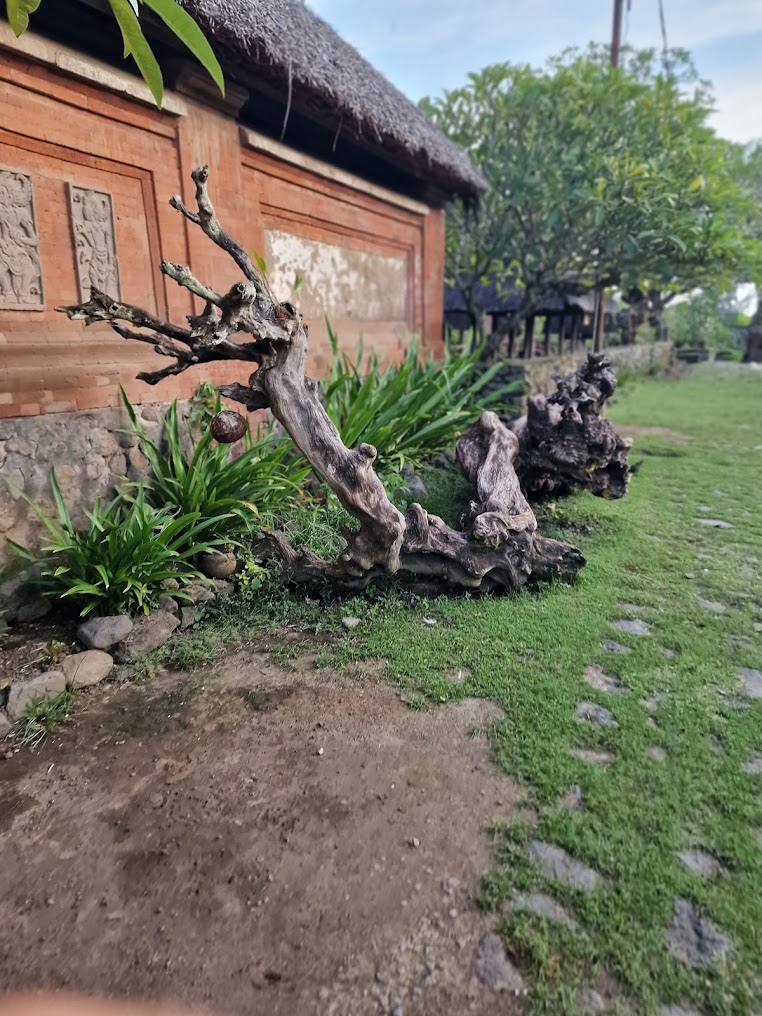 Tenganan, photo 4 of 9