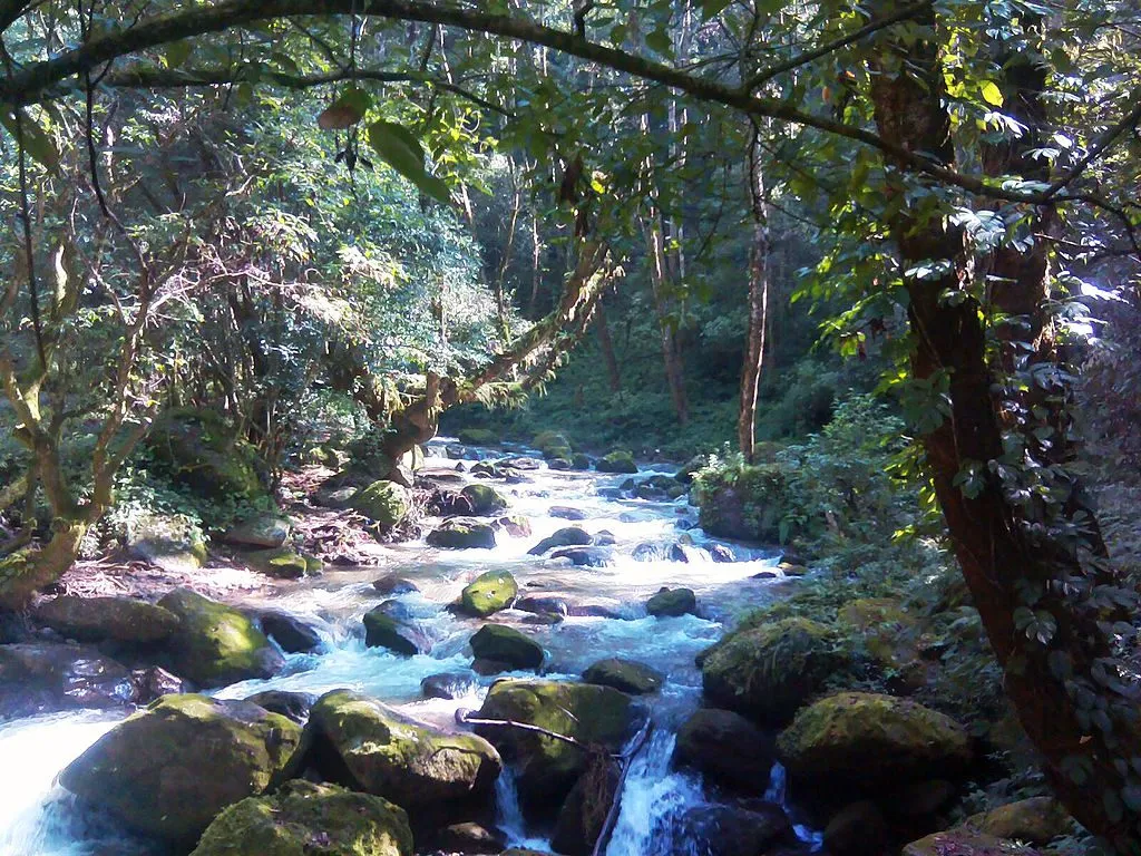Entry point to Shivapuri National Park, photo 1 of 12