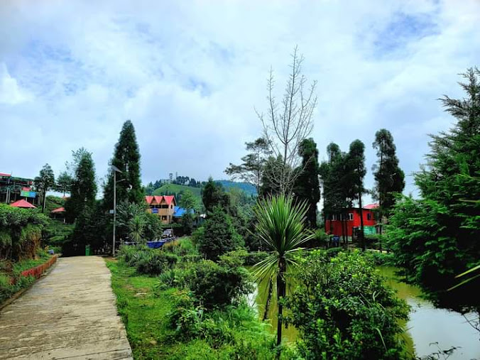 Shree Antu, photo 2 of 8