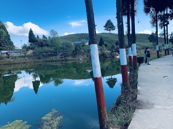 Shree Antu, photo 4 of 8