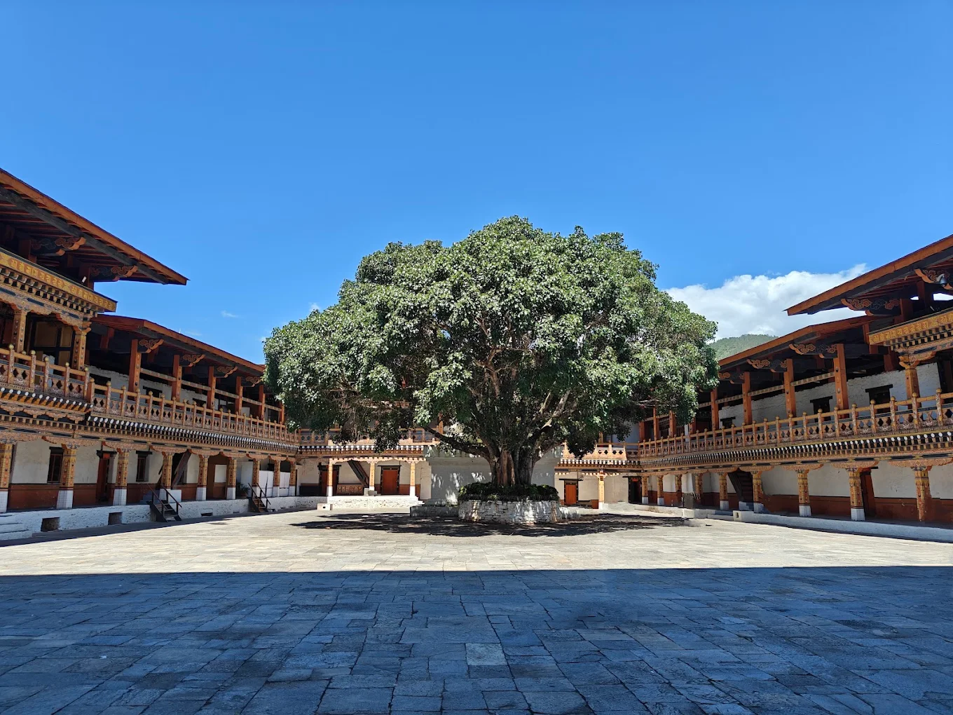 Punakha Dzong, photo 2 of 11
