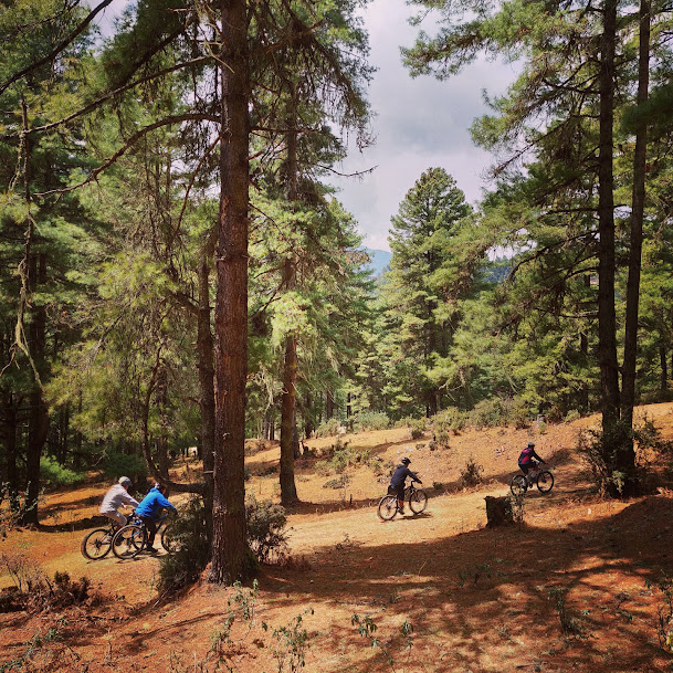 Phobjikha Valley, photo 1 of 9