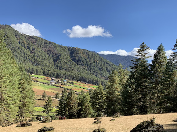 Phobjikha Valley, photo 2 of 9