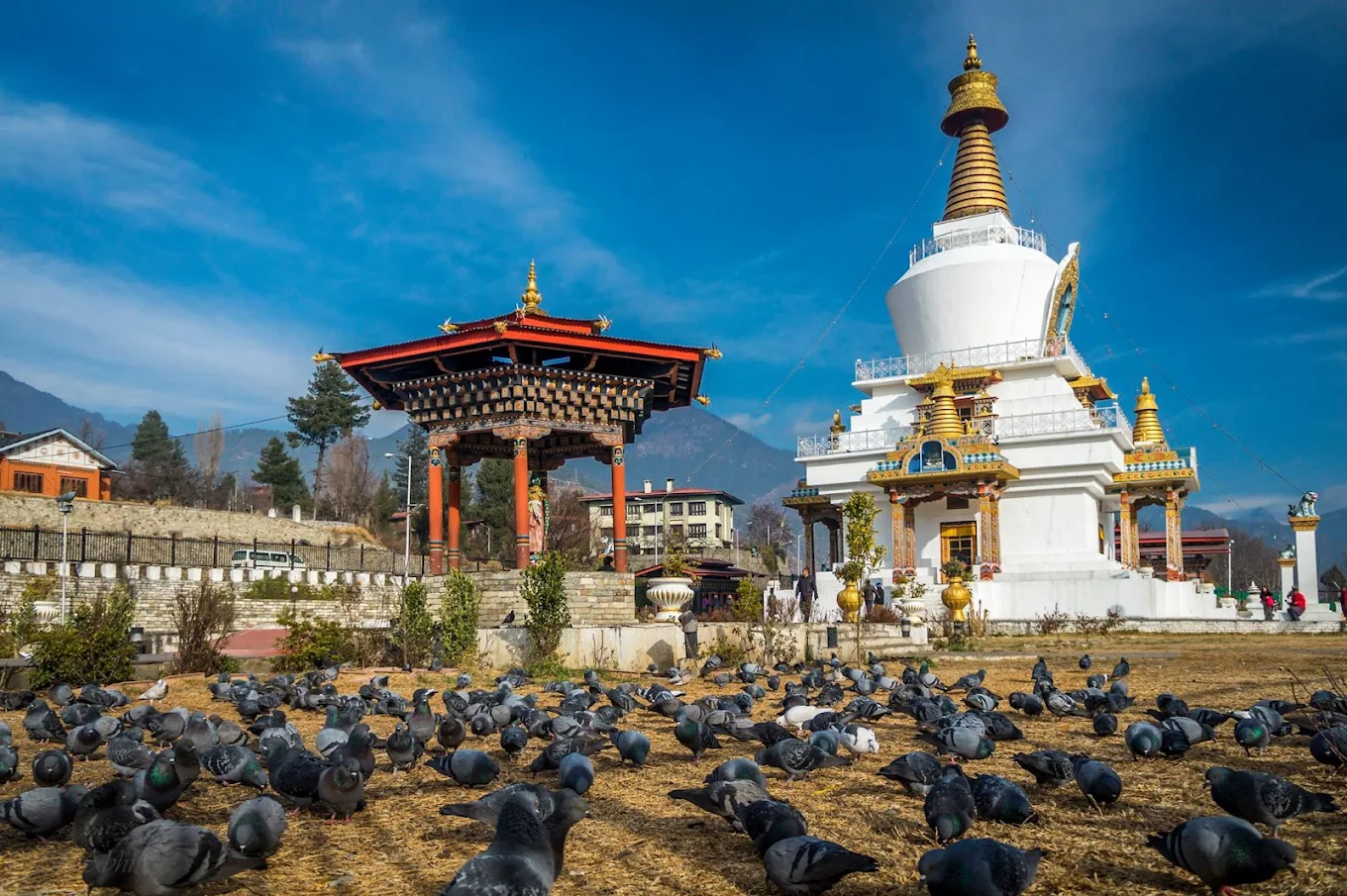 Memorial Chorten, photo 3 of 13