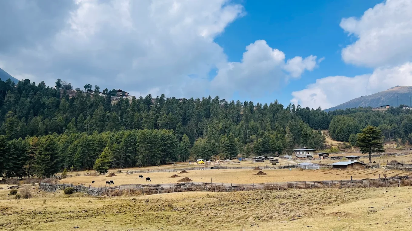 Black-necked Crane Visitor Centre, Phobjikha, photo 1 of 10