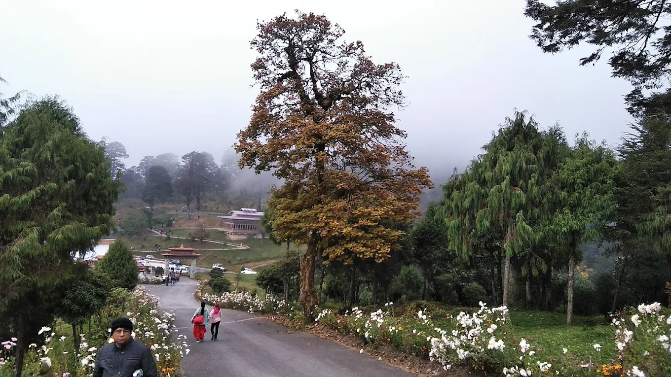 Druk Wangyal Lhakhang, photo 3 of 14