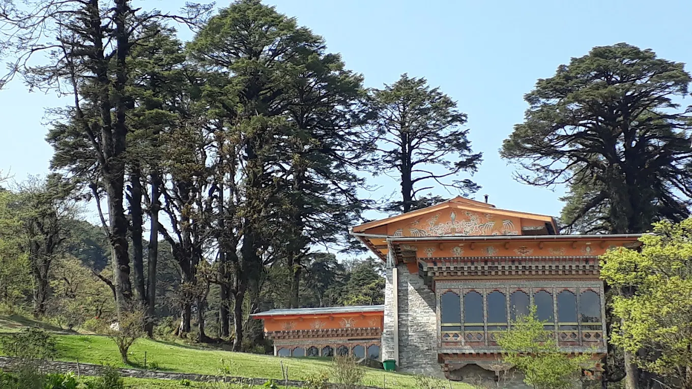 Druk Wangyal Lhakhang, photo 4 of 14