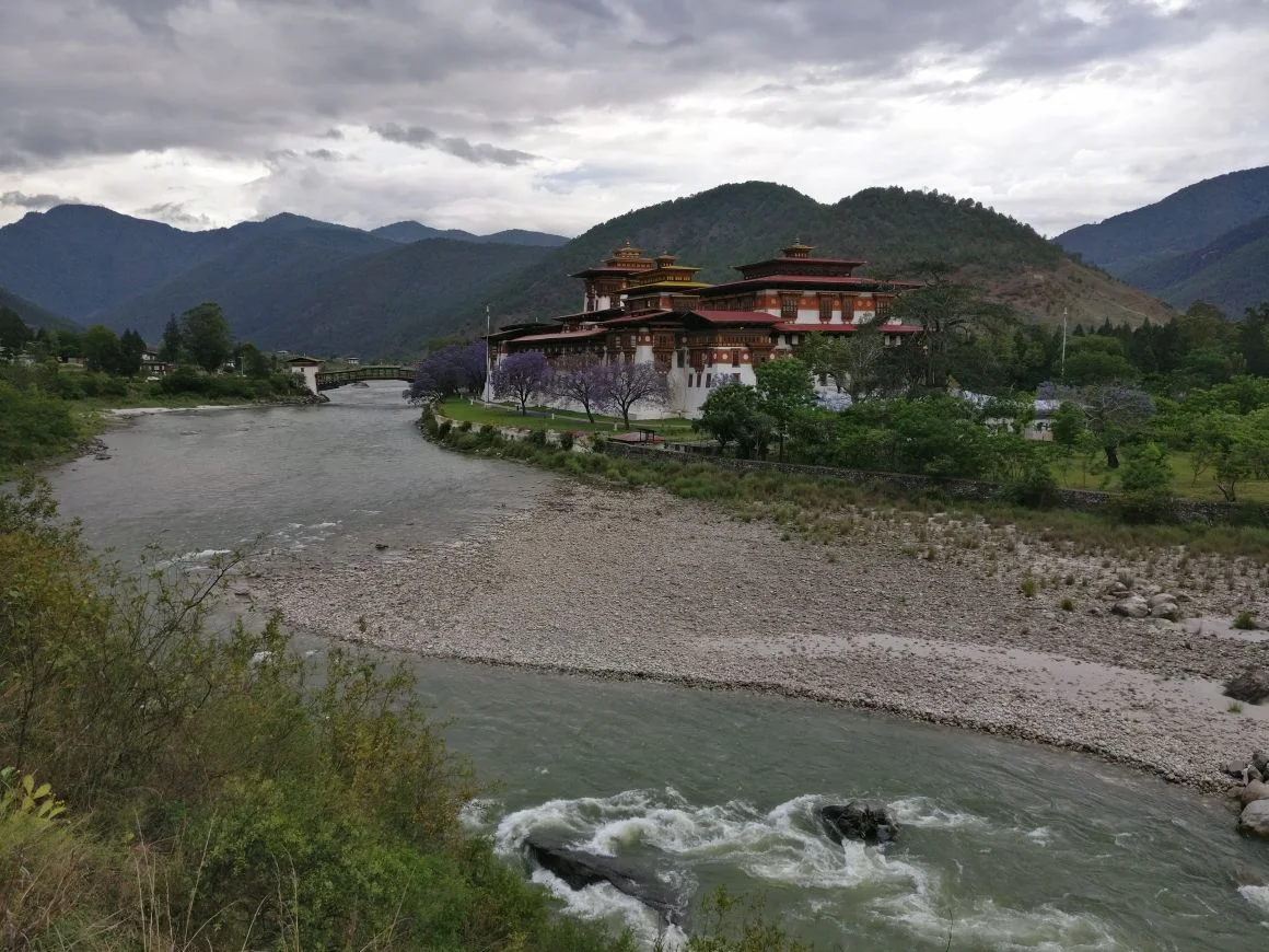 Royal Manas National Park, photo 1 of 6