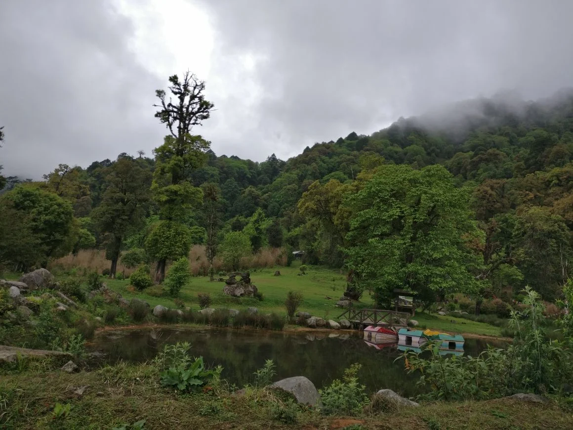 Royal Manas National Park, photo 2 of 6