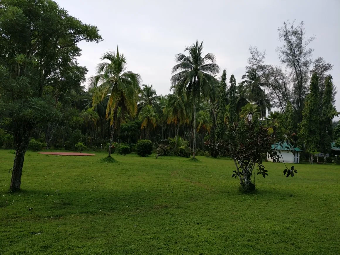 Royal Manas National Park, photo 3 of 6