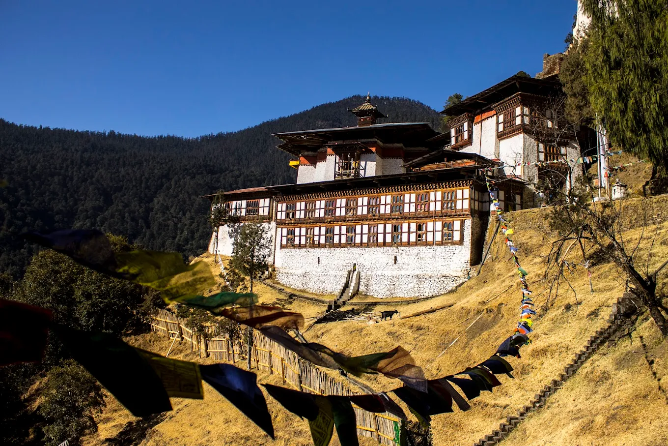 Cheri Monastery, photo 1 of 11