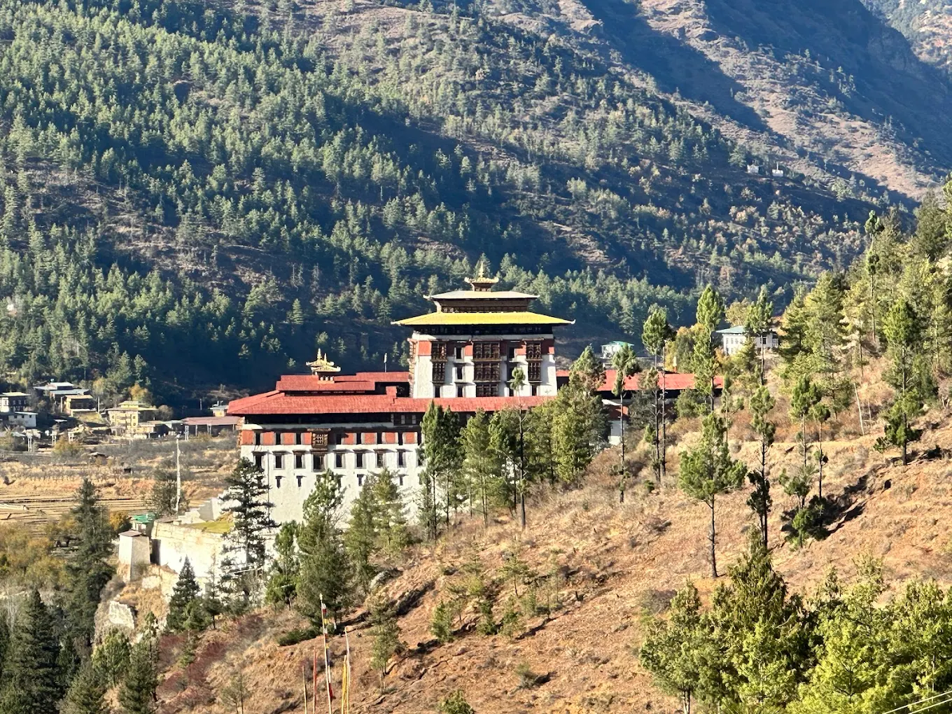 Zuri Dzong, photo 3 of 9