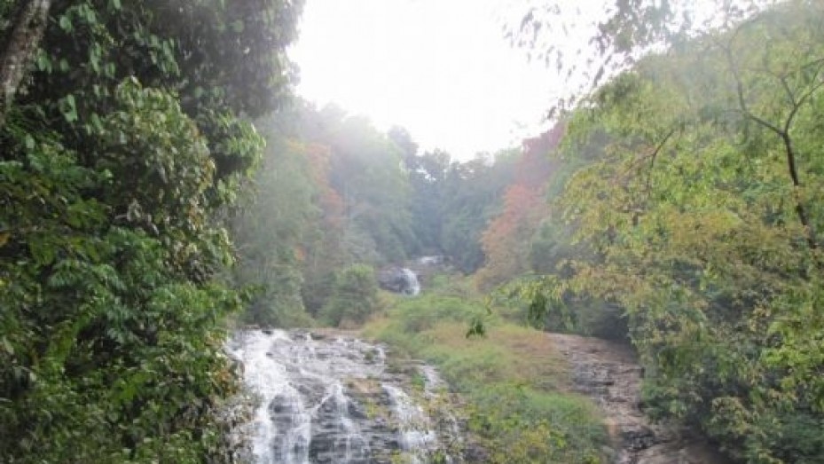 Abbi Waterfall, photo 4 of 17
