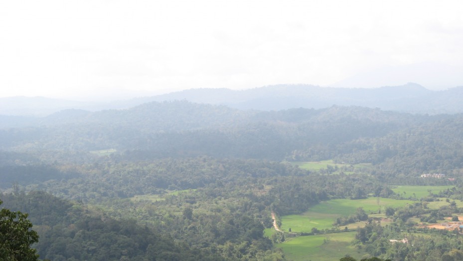 RAJA SEAT GARDEN , MADIKERI, photo 4 of 15