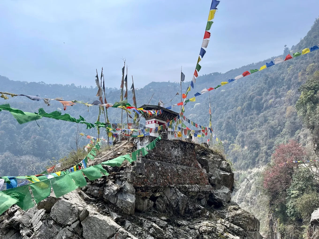 Phrumsengla National Park, photo 2 of 9