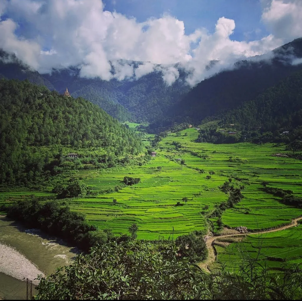 Jigme Dorji National Park, photo 1 of 11