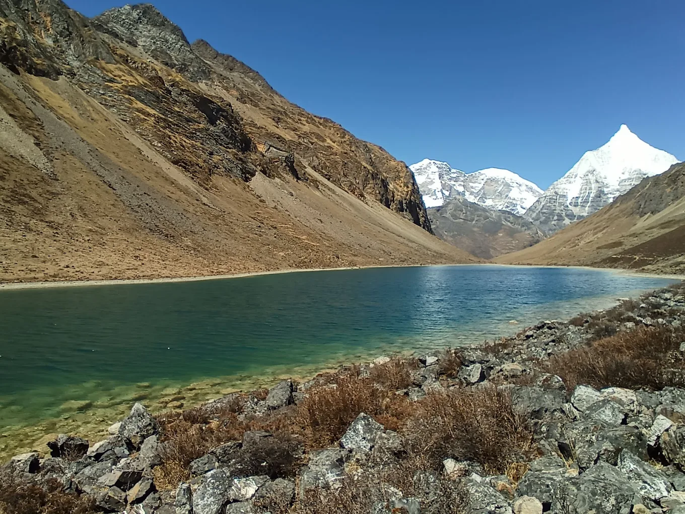 Jigme Dorji National Park, photo 3 of 11