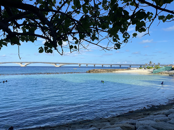 Artificial Beach, photo 3 of 7