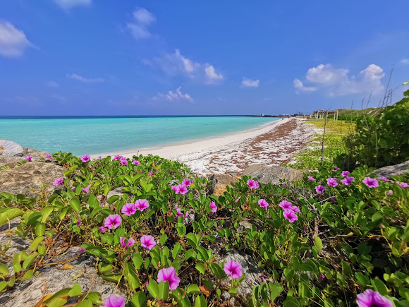 Dream Beach, photo 3 of 7
