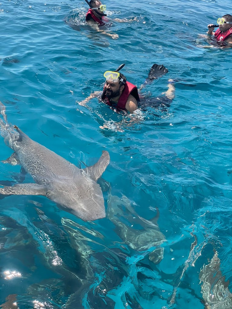 Shark point, photo 1 of 8