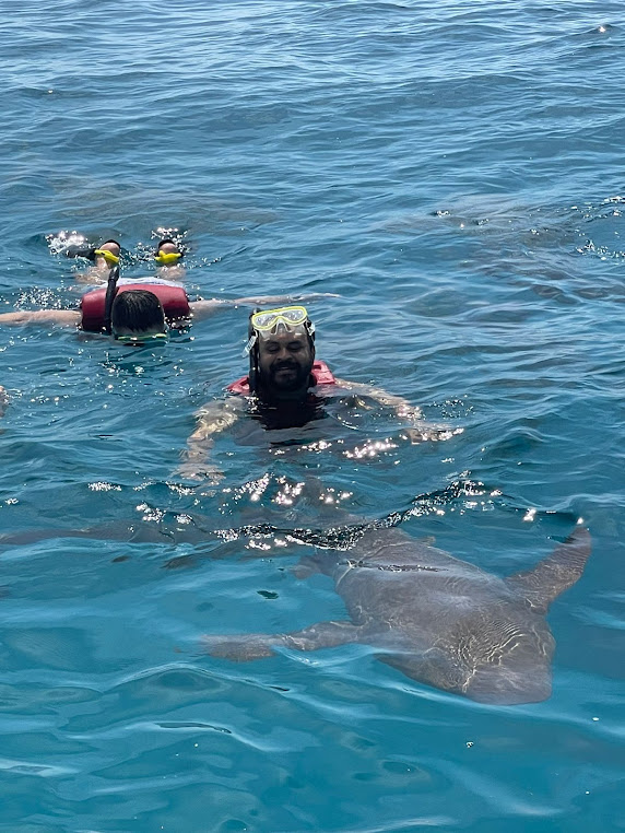 Shark point, photo 4 of 8