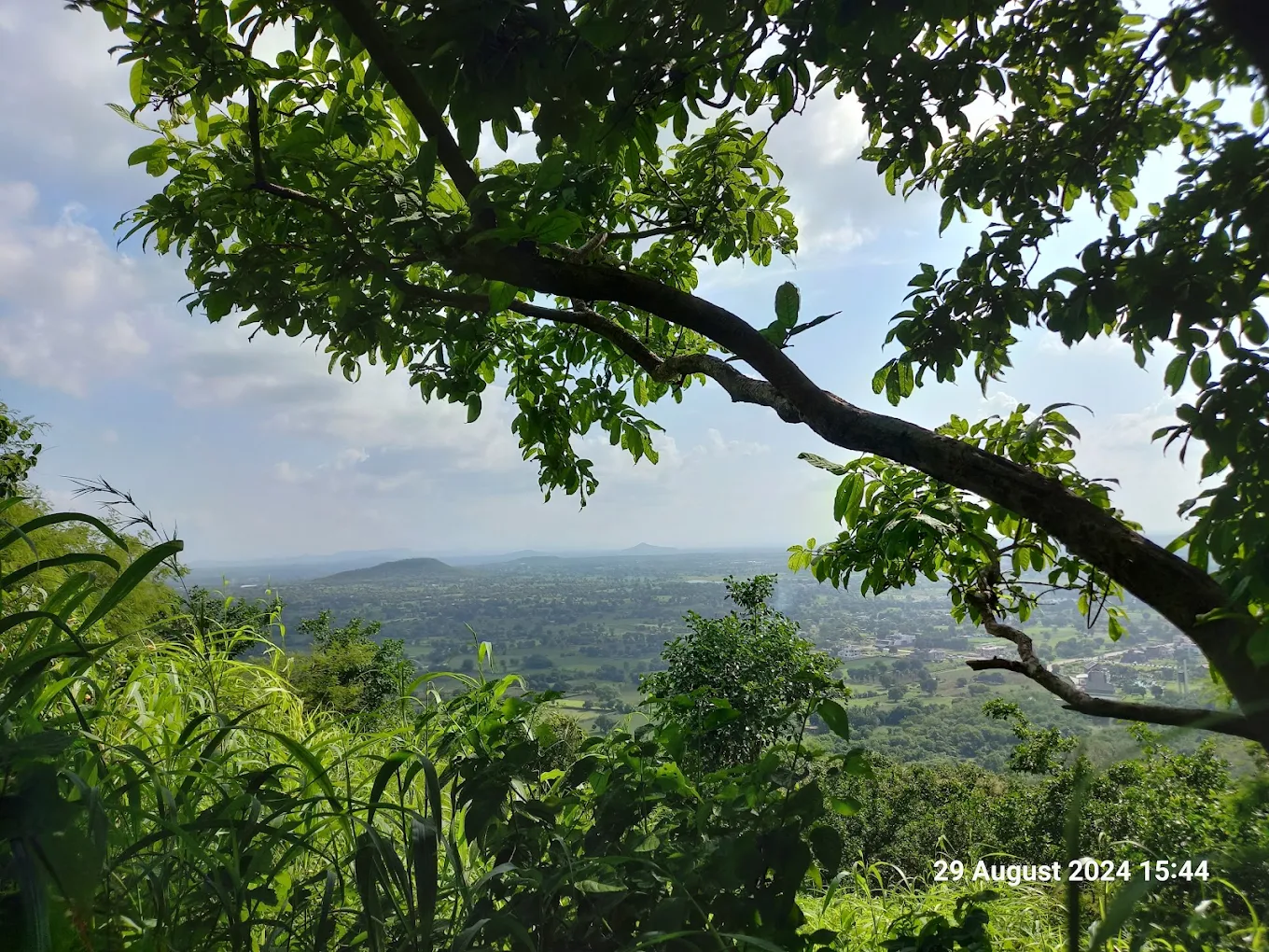 Ralamandal Wildlife Sanctuary, photo 2 of 12