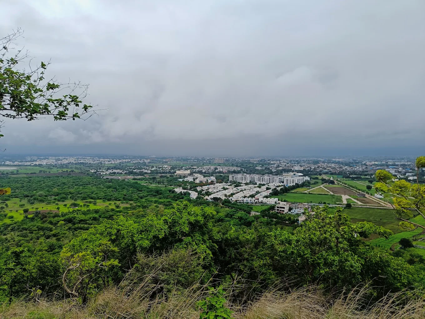 Ralamandal Wildlife Sanctuary, photo 4 of 12