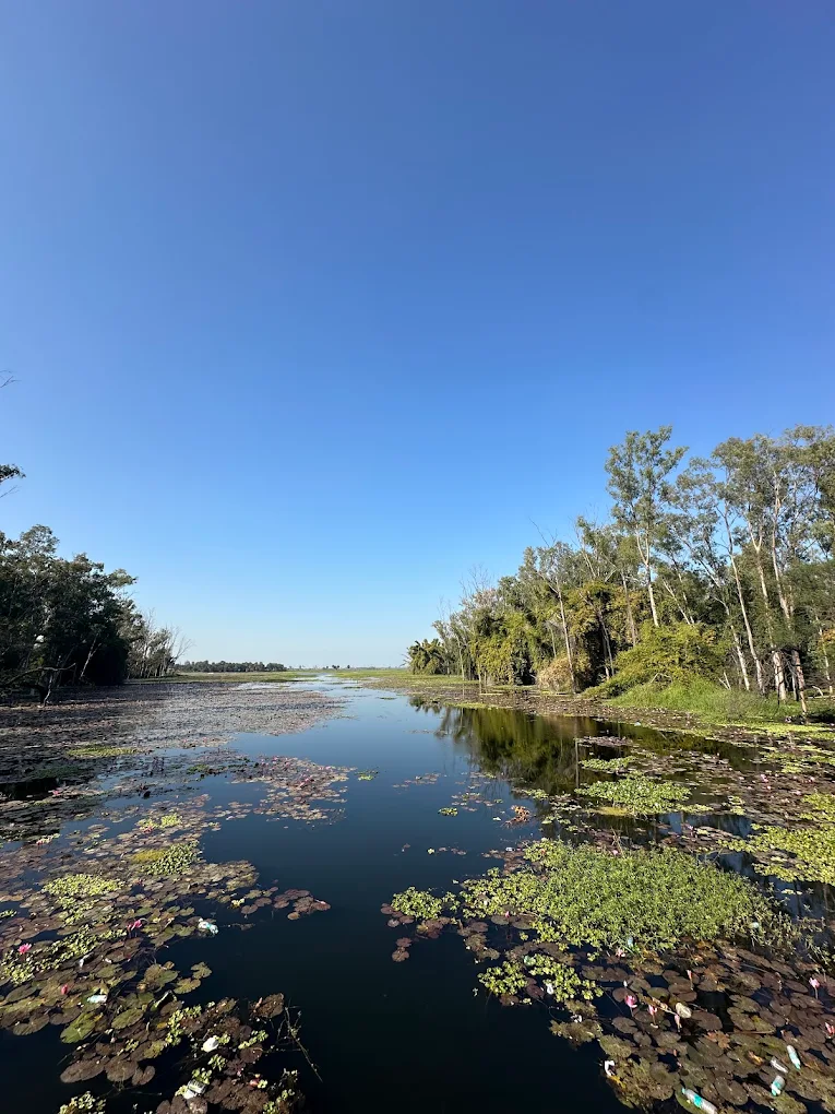 Lotus Valley, photo 1 of 10