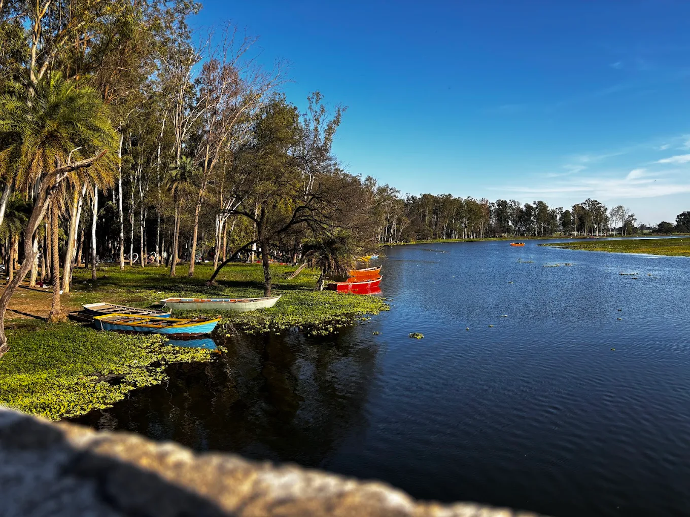 Lotus Valley, photo 3 of 10