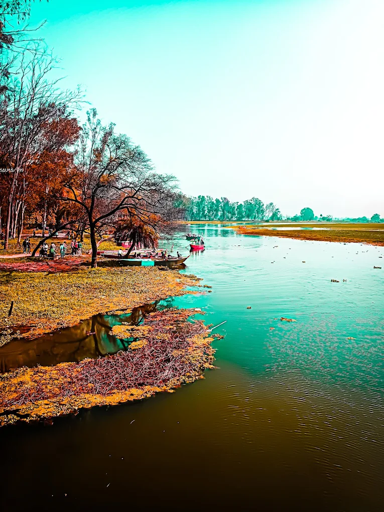 Lotus Valley, photo 4 of 10