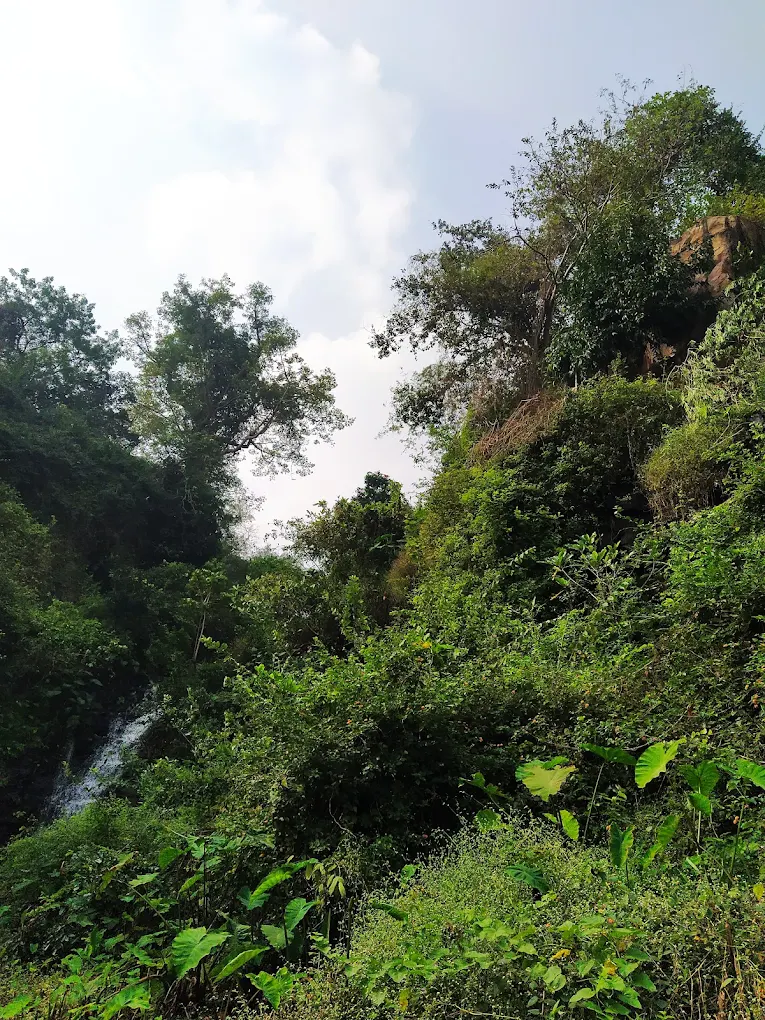 Siddi Ramappa Kolanu, photo 2 of 7
