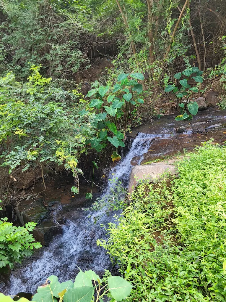 Siddi Ramappa Kolanu, photo 3 of 7