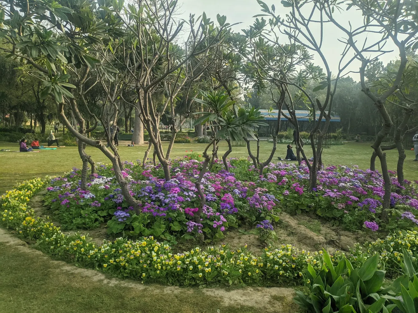 District Park, photo 1 of 6