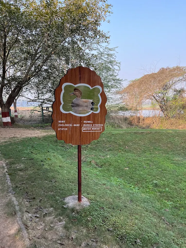 Surajpur Wetlands, photo 1 of 5