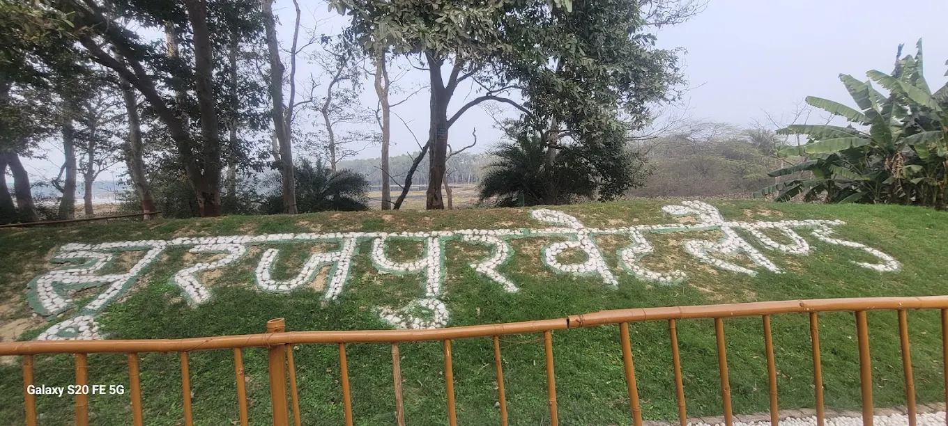 Surajpur Wetlands, photo 2 of 5