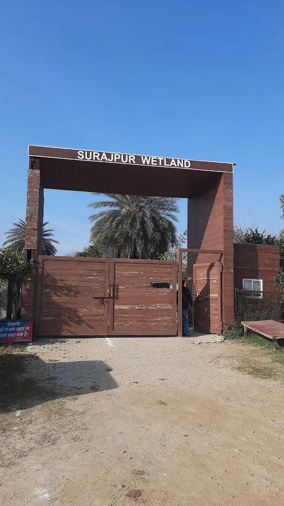 Surajpur Wetlands, photo 4 of 5
