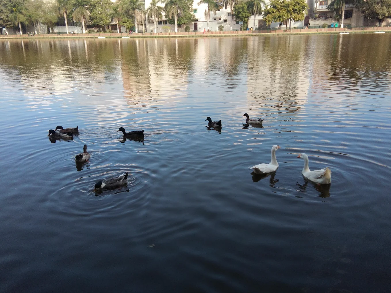 Naini Lake, photo 2 of 7