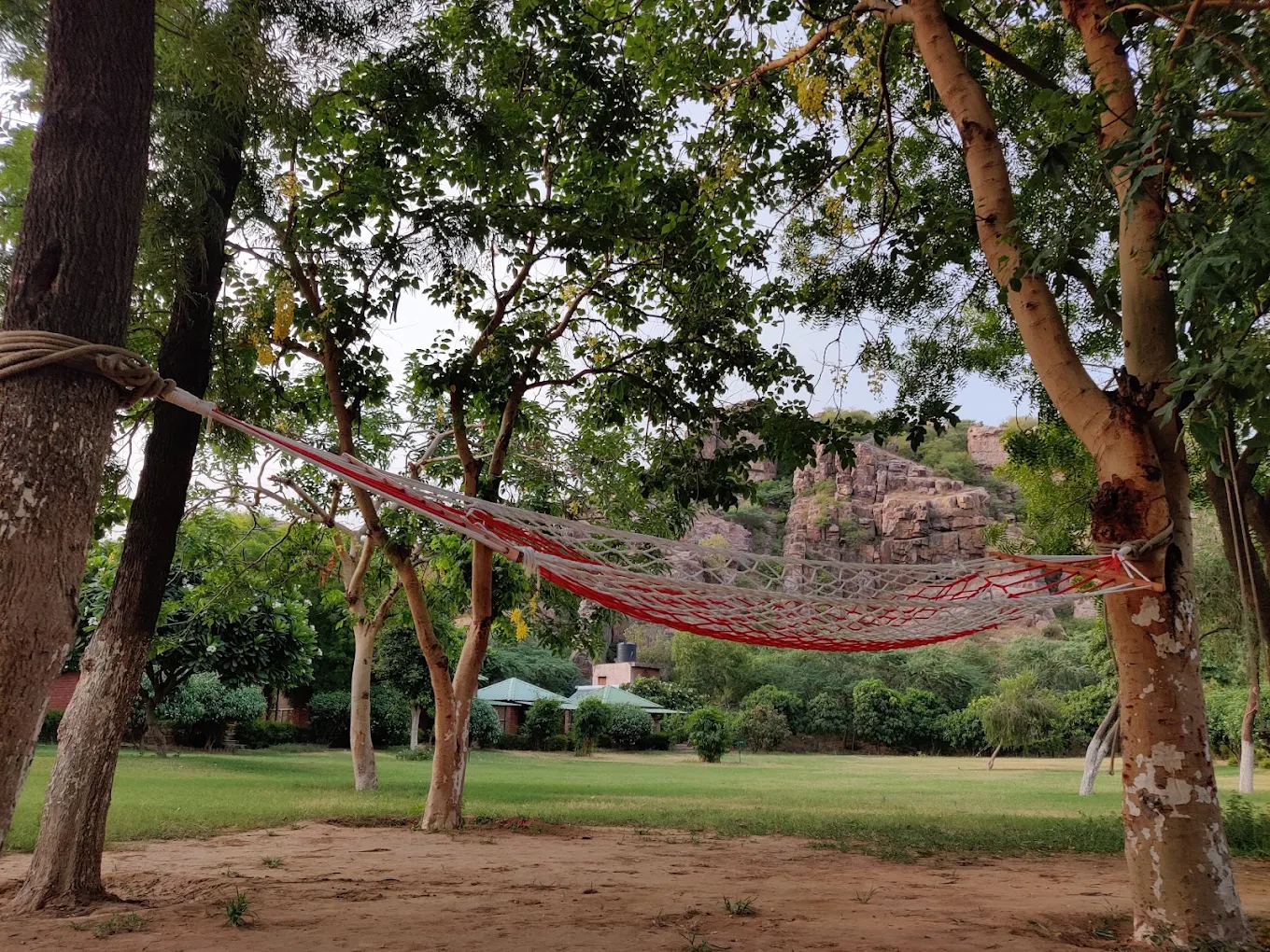 Camp Wild Dhauj Adventure Activities, photo 2 of 10