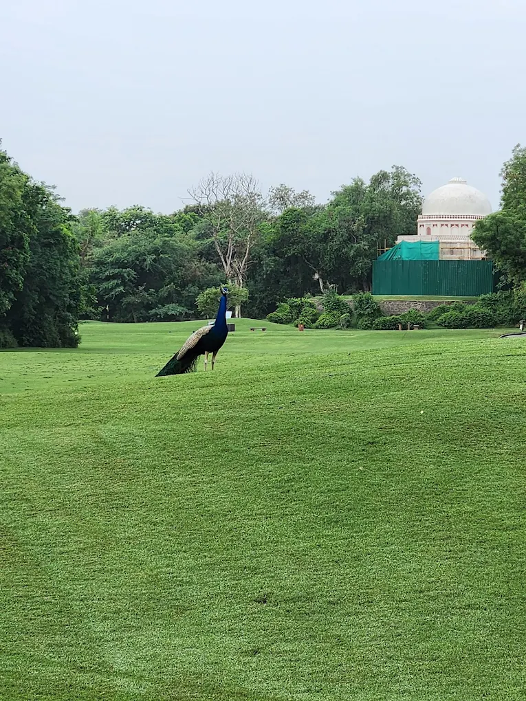 Delhi Golf Club, photo 3 of 6