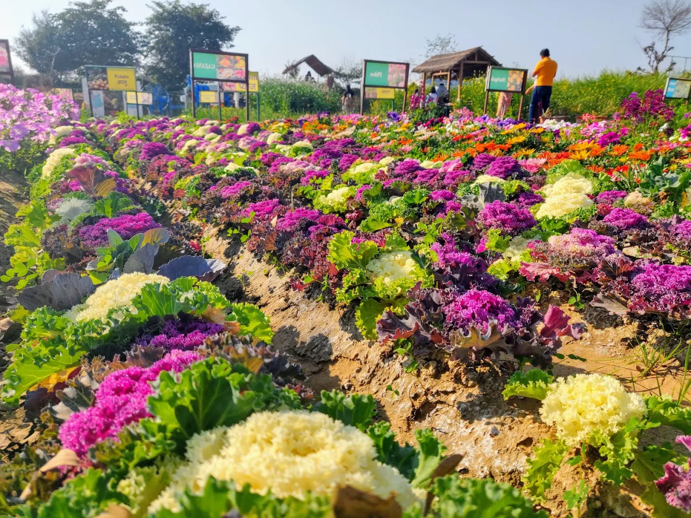 Pratapgarh Farms & Resorts, photo 1 of 6