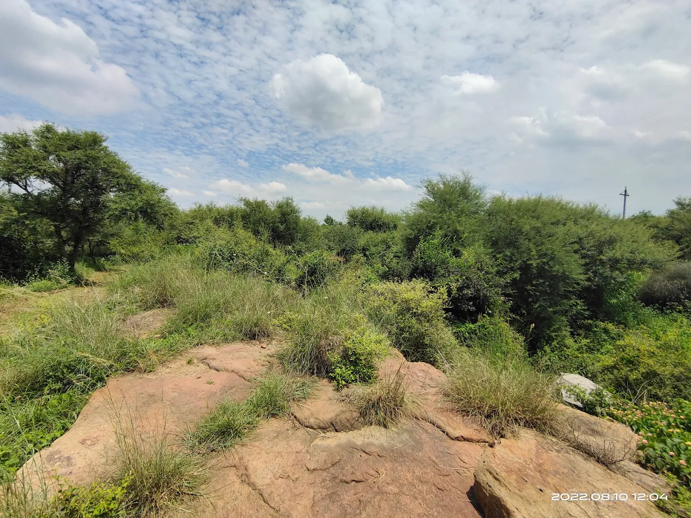 Aravalli Biodiversity Park, photo 2 of 6