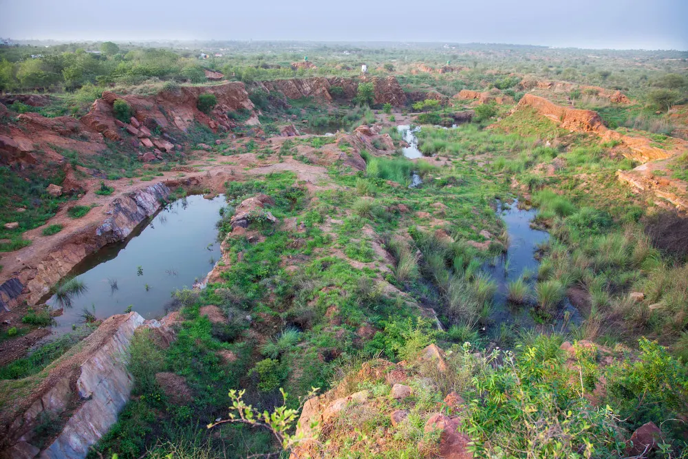 Aravalli Biodiversity Park, photo 3 of 6